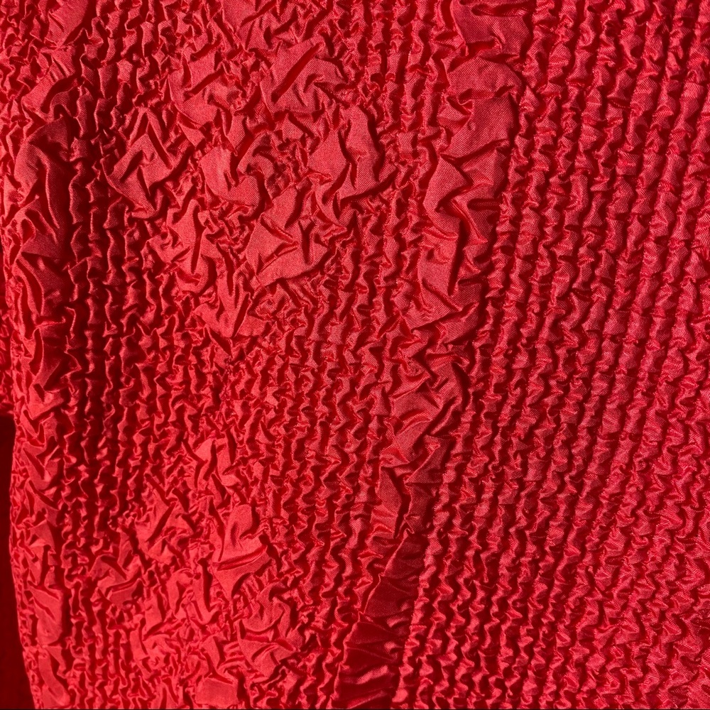 Fun Red Jacket - Picture 3 of 5